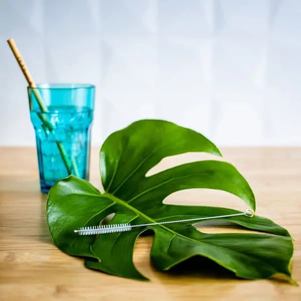 Ola Bamboo- brosse nettoyante